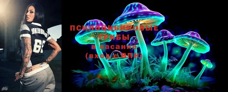 Галлюциногенные грибы Cubensis  где найти   Кизилюрт 